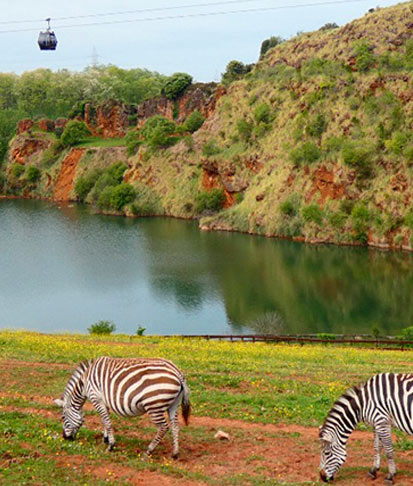 Parque de Cabárceno